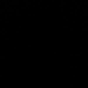 Meet your Posher, Javi